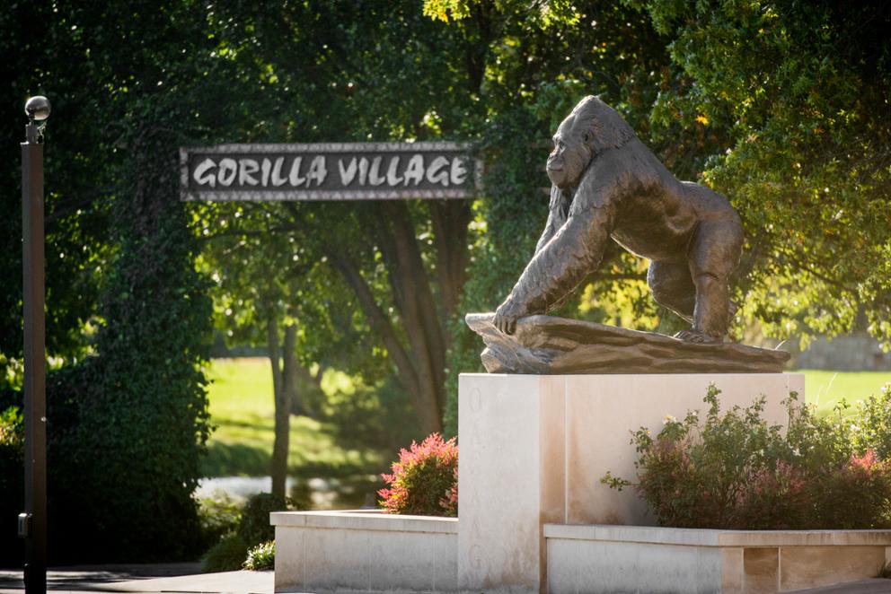 Champions Gorilla Plaza Fall Statue Campus