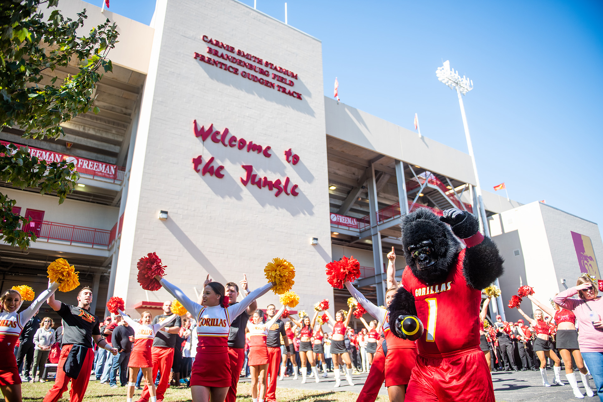 stadium–gorilla village9715