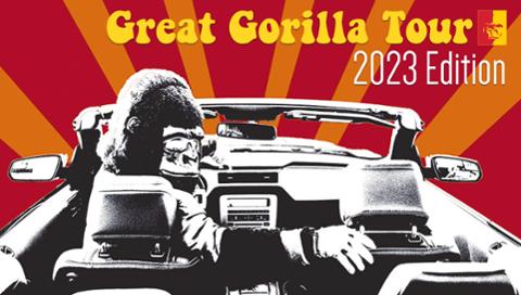 Great Gorilla Tour Link 2