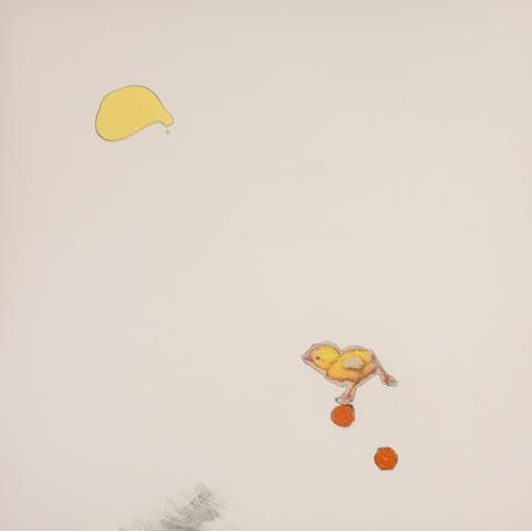 Ducky