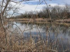 Pond at Monahan Outdoor Education Center