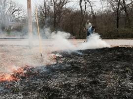 controlled burn at reserve