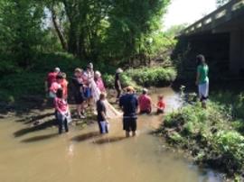 students looking through river