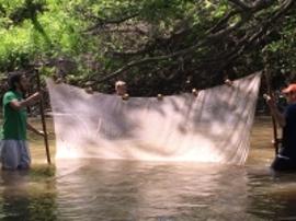 students in river