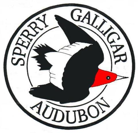 Sperry Logo