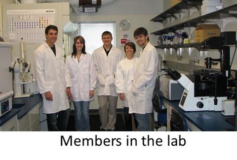 lab - group photo