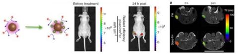 Project 2 Figure 5