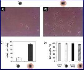 Project 3 Figure 1