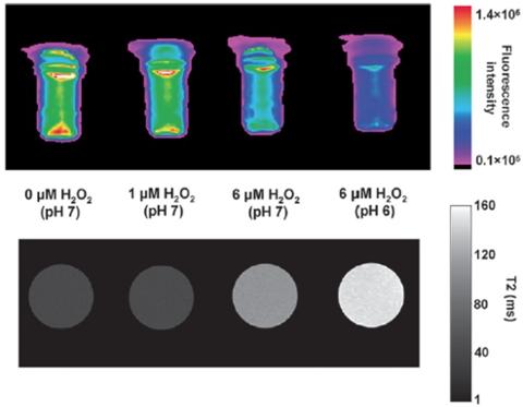 Project 4 Figure 5