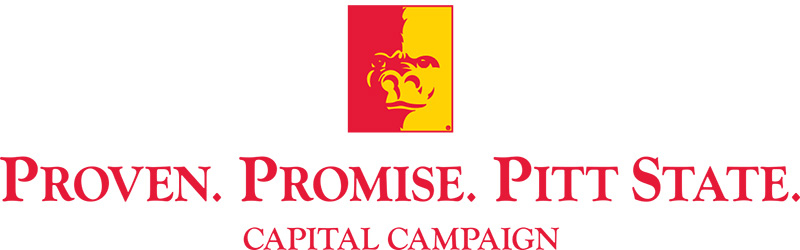 capital-campaign-logo-provenpromise.jpg