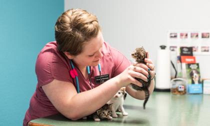 Veterinarian Brandy Lawrence