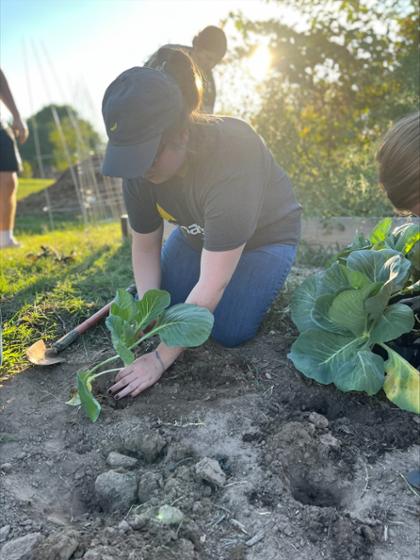 Community garden 4