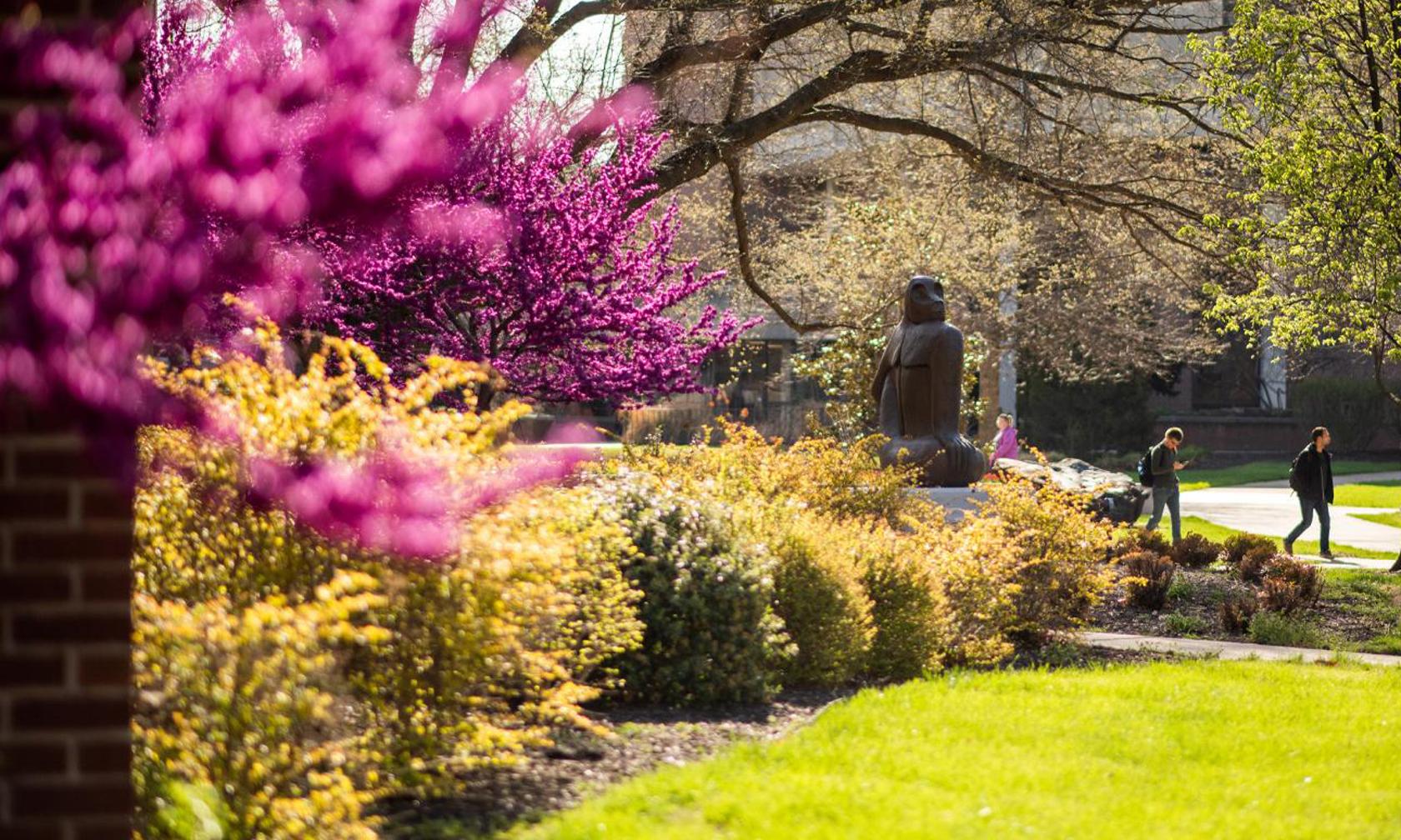 campus in spring