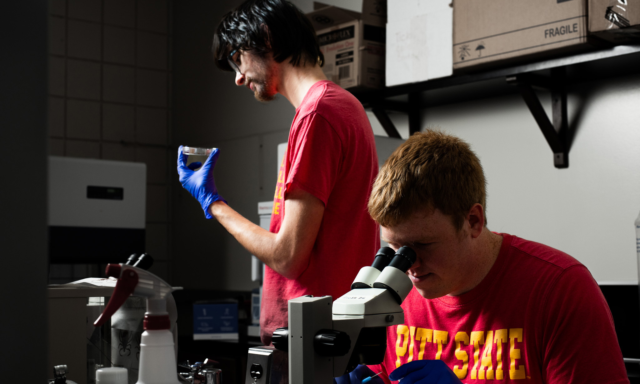 students using microscopes for tick research