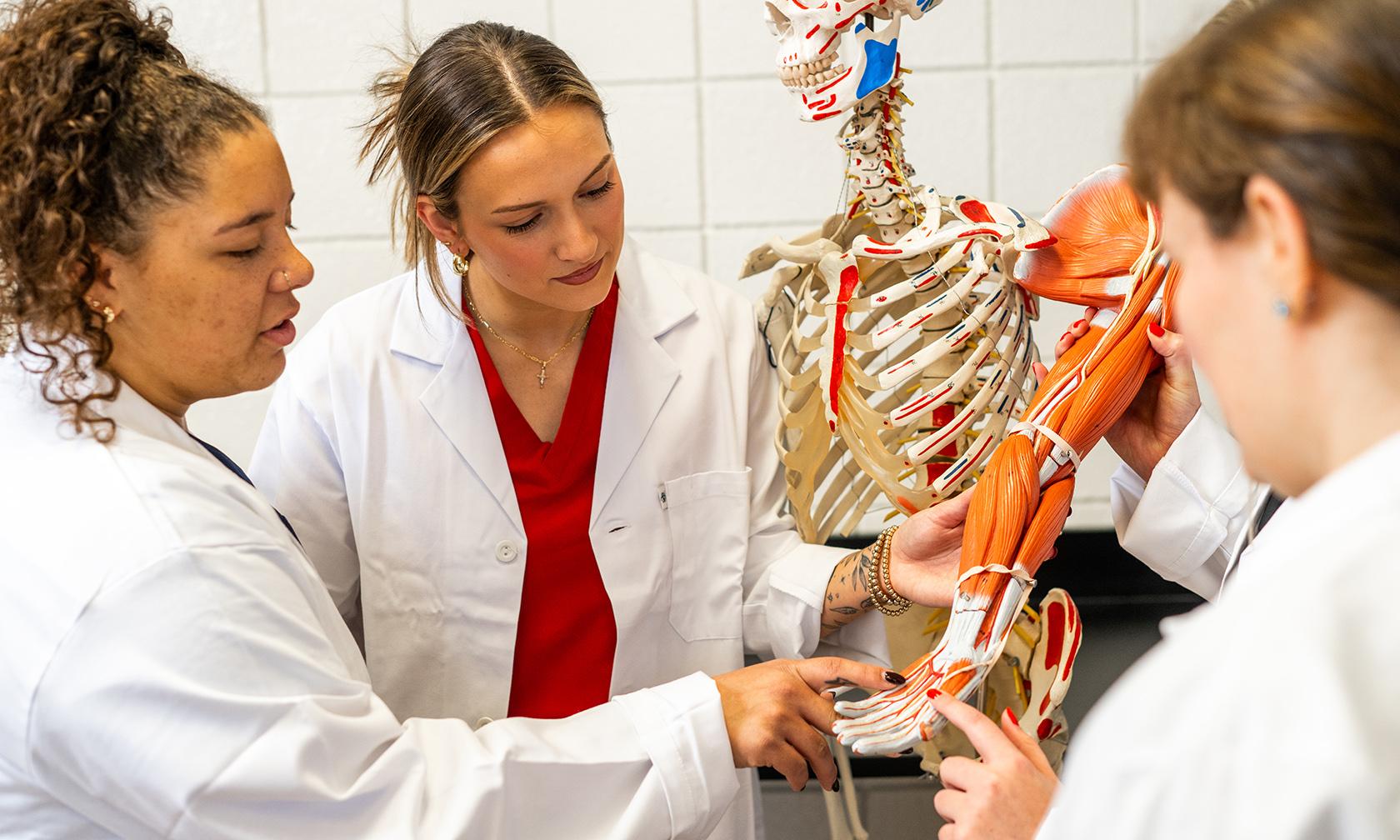 medical students looking at skeleton
