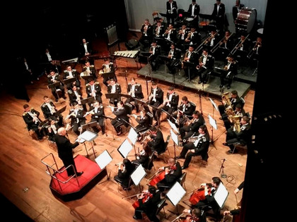 Fuchs in Paraguay
