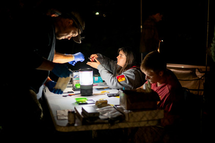 Bat research students