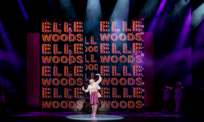 Legally Blonde Elle Woods