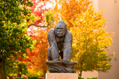 Gorilla statue in gorilla village in the fall with festive colored leaved behind it.