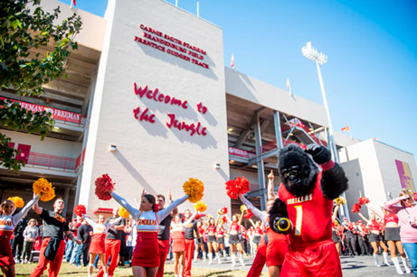 dance team and gus in gorilla village