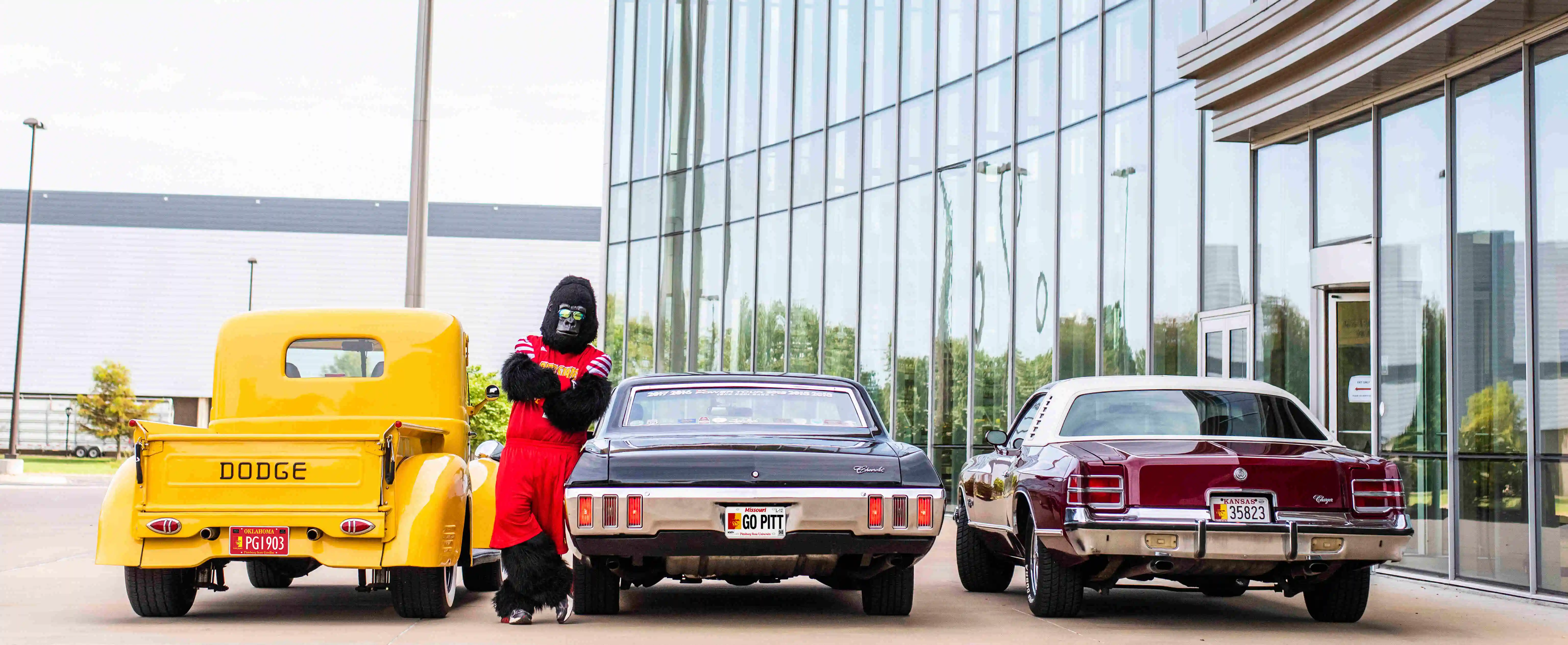 gorilla-license-plates 1400w