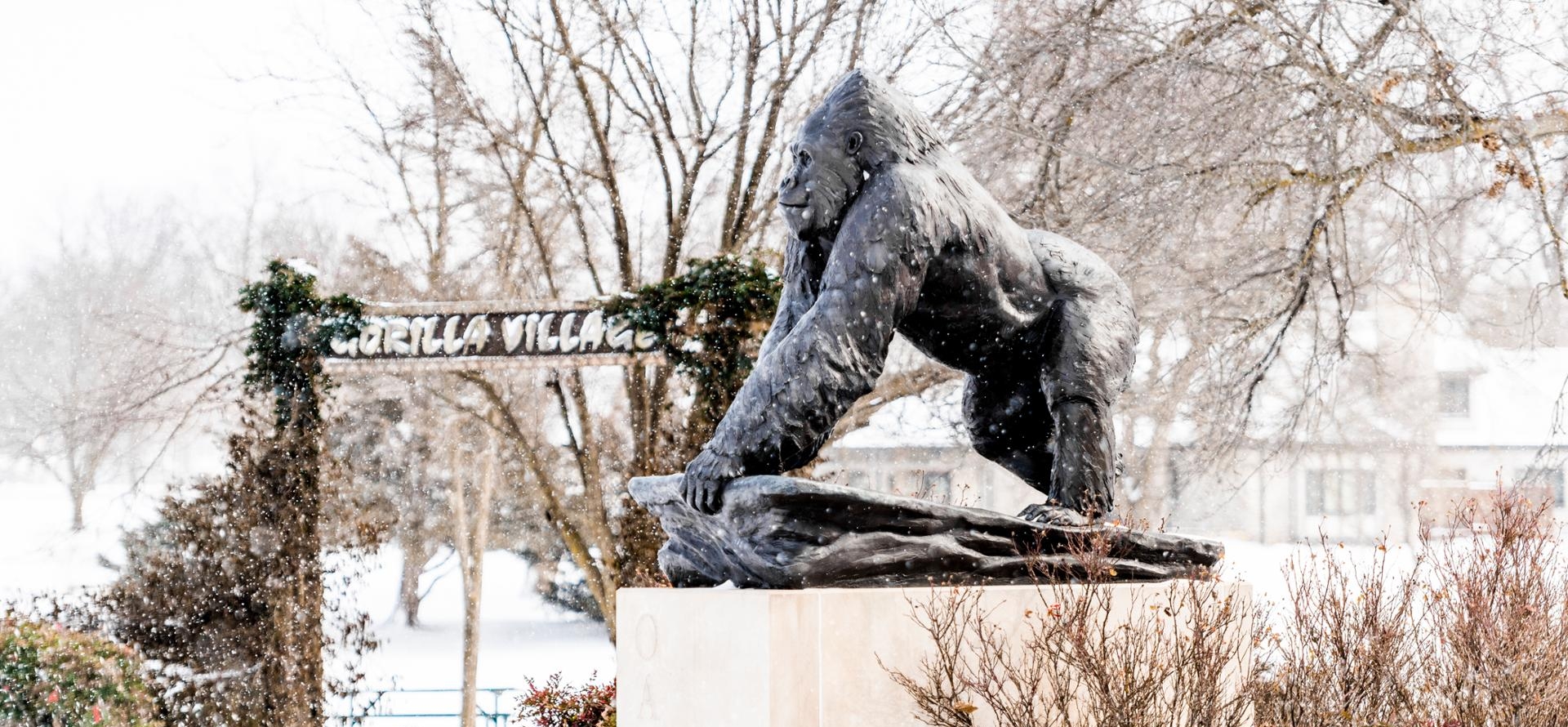 Champions Gorilla Campus Snow Exterior Buildings Winter 1920w