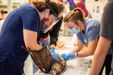 vet school prerequisites completed by college students at Pittsburg State