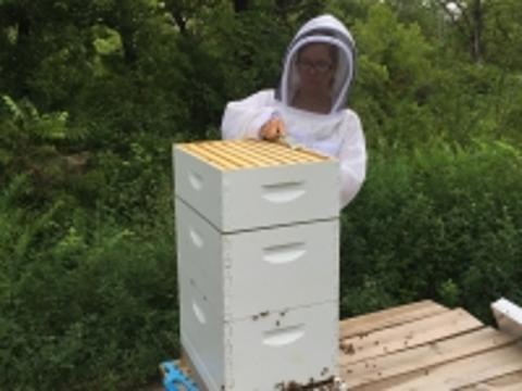 Beehive