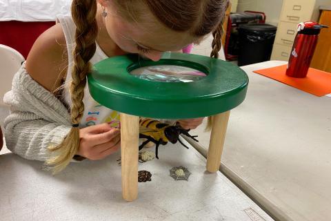 kindergarten-camp 480w