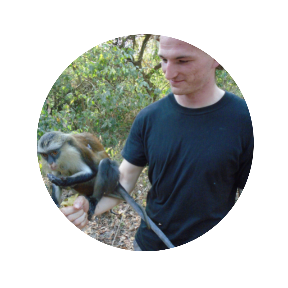 other programs collapse