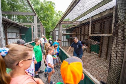 Nature Reach Kids Camp Reserve Open House