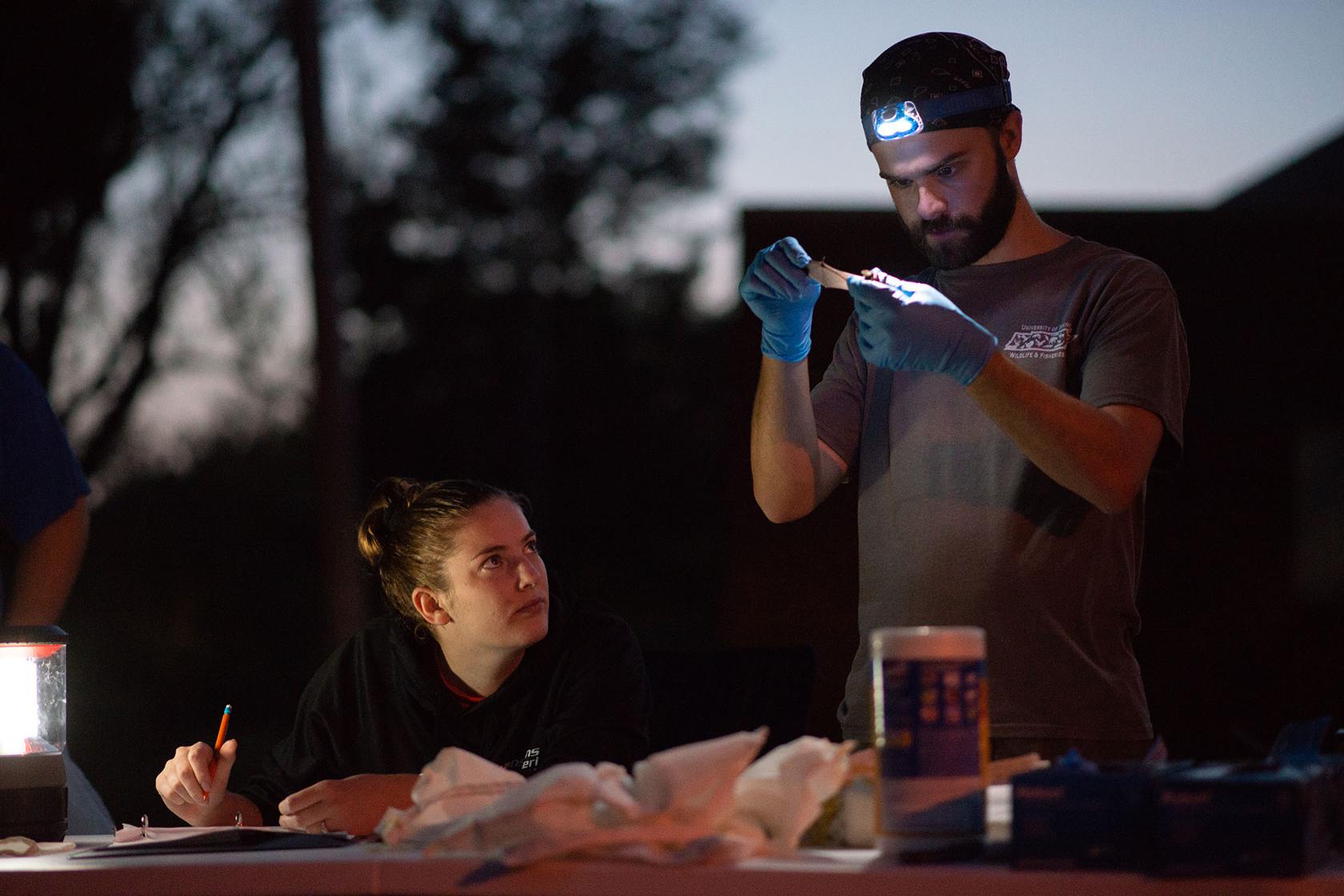 Michael Barnes conducts field research on bats