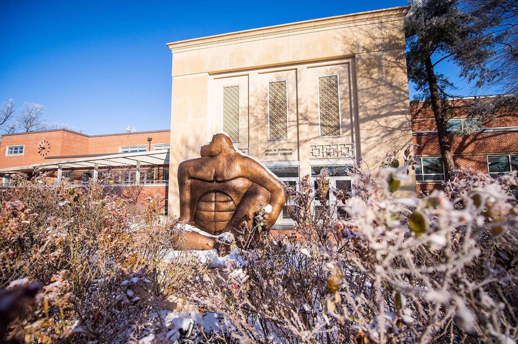 Wooster Gorilla in Snow