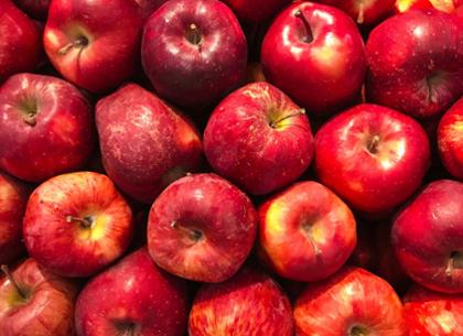 Apple Day